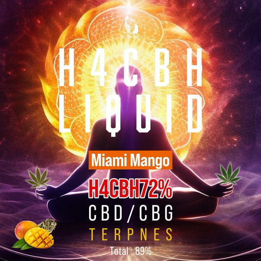 - H4CBH 72% Liquid 1ml 【Miami Mango】
