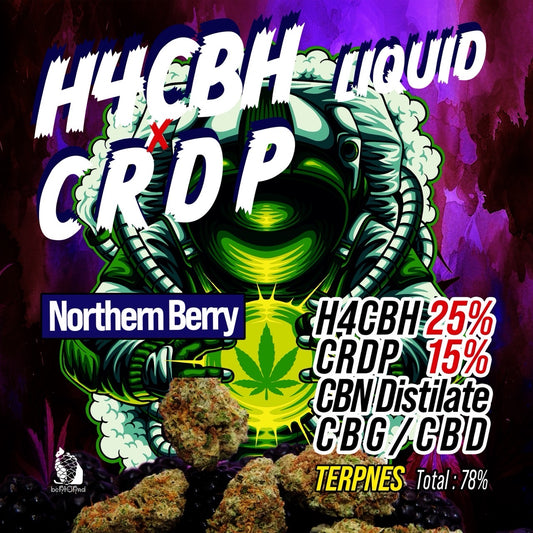 - H4CBH20%×CRDP15% Liquid 1ml Northern Berry